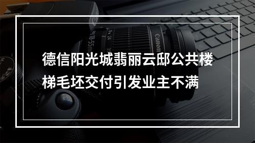 德信阳光城翡丽云邸公共楼梯毛坯交付引发业主不满