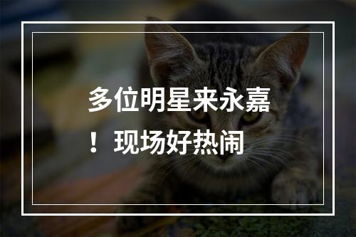 多位明星来永嘉！现场好热闹
