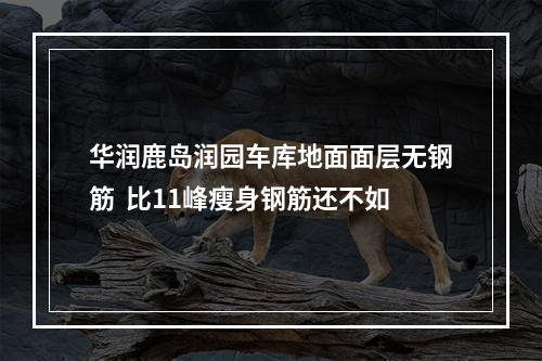 华润鹿岛润园车库地面面层无钢筋  比11峰瘦身钢筋还不如