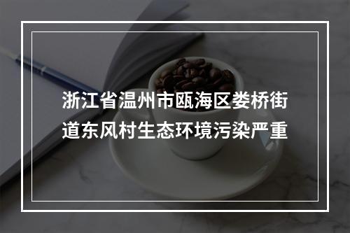 浙江省温州市瓯海区娄桥街道东风村生态环境污染严重