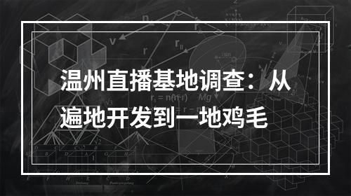 温州直播基地调查：从遍地开发到一地鸡毛