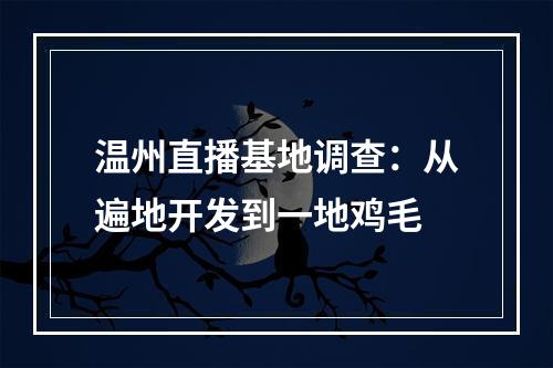 温州直播基地调查：从遍地开发到一地鸡毛