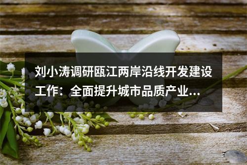 刘小涛调研瓯江两岸沿线开发建设工作：全面提升城市品质产业品质生活品质