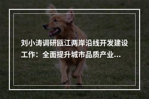 刘小涛调研瓯江两岸沿线开发建设工作：全面提升城市品质产业品质生活品质