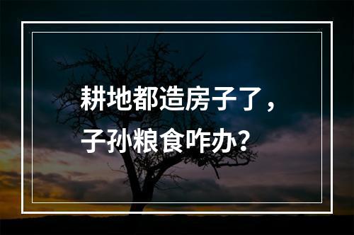 耕地都造房子了，子孙粮食咋办？