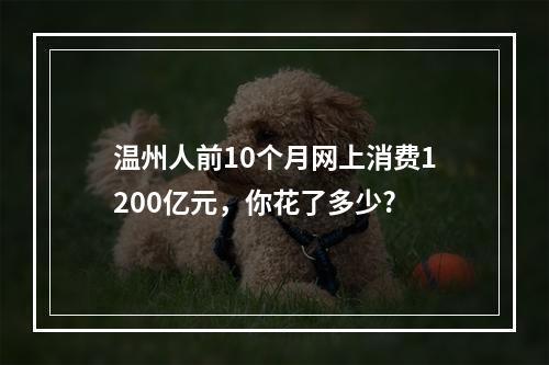 温州人前10个月网上消费1200亿元，你花了多少?