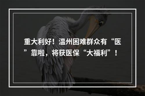 重大利好！温州困难群众有“医”靠啦，将获医保“大福利”！