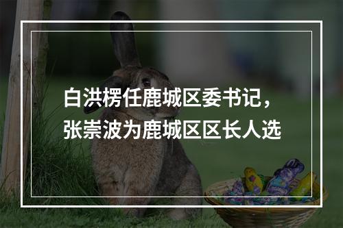 白洪楞任鹿城区委书记，张崇波为鹿城区区长人选