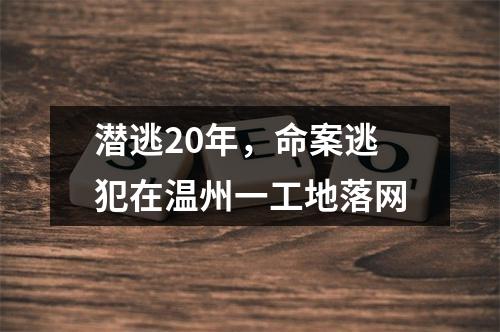 潜逃20年，命案逃犯在温州一工地落网