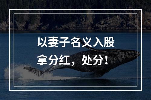 以妻子名义入股拿分红，处分！