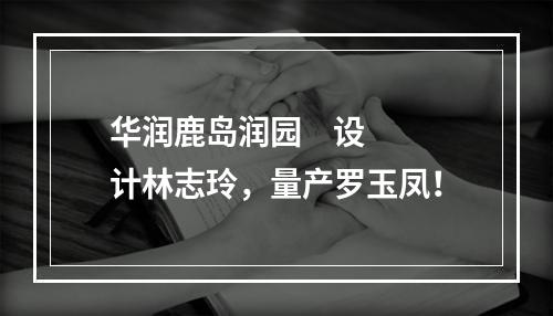 华润鹿岛润园    设计林志玲，量产罗玉凤！