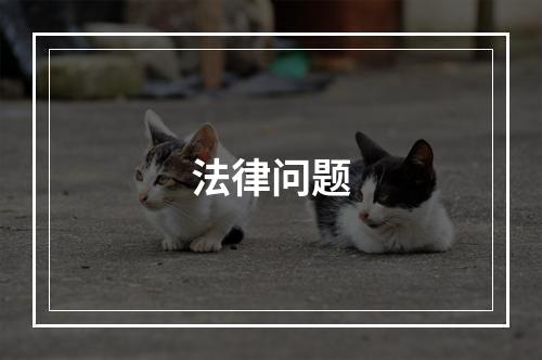 法律问题