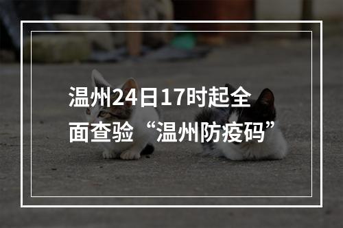 温州24日17时起全面查验“温州防疫码”