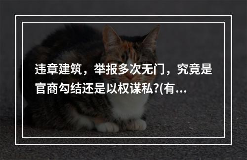 违章建筑，举报多次无门，究竟是官商勾结还是以权谋私?(有图为证)