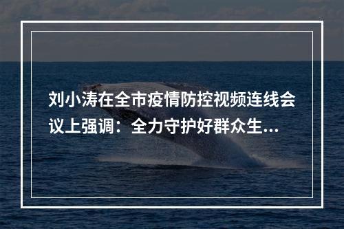 刘小涛在全市疫情防控视频连线会议上强调：全力守护好群众生命健康和城市安全