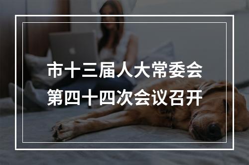 市十三届人大常委会第四十四次会议召开