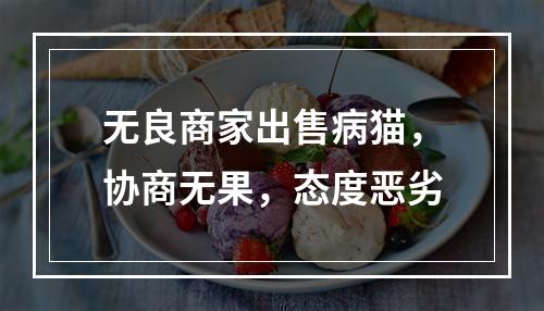 无良商家出售病猫，协商无果，态度恶劣
