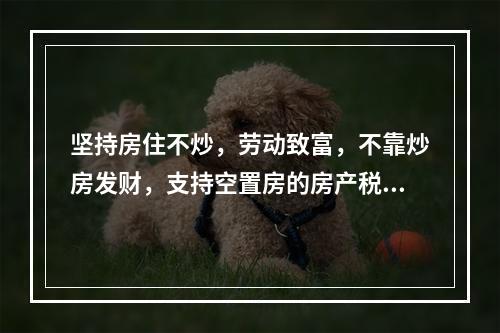 坚持房住不炒，劳动致富，不靠炒房发财，支持空置房的房产税。