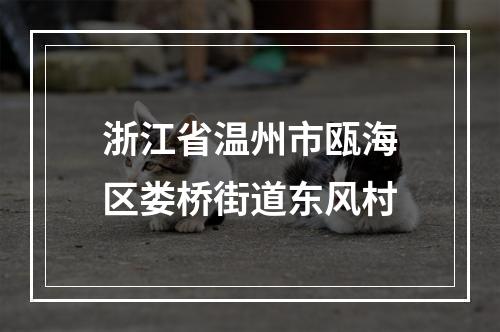 浙江省温州市瓯海区娄桥街道东风村