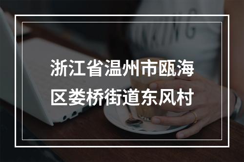 浙江省温州市瓯海区娄桥街道东风村