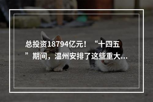 总投资18794亿元！“十四五”期间，温州安排了这些重大项目！