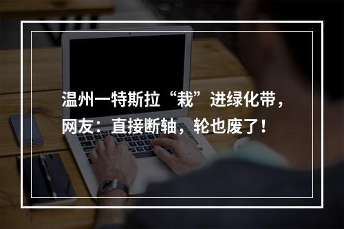 温州一特斯拉“栽”进绿化带，网友：直接断轴，轮也废了！