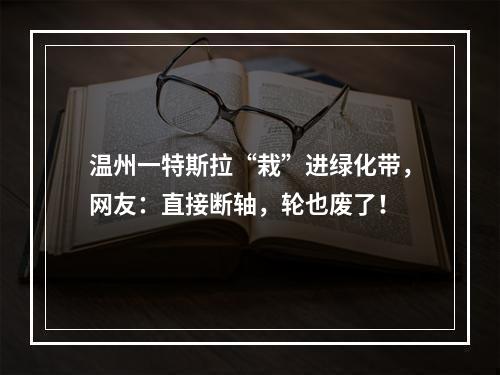 温州一特斯拉“栽”进绿化带，网友：直接断轴，轮也废了！