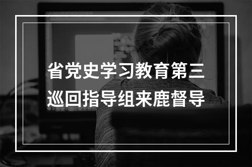 省党史学习教育第三巡回指导组来鹿督导