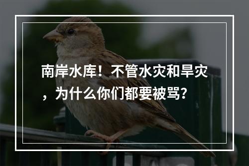 南岸水库！不管水灾和旱灾，为什么你们都要被骂？