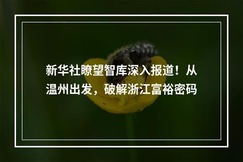新华社瞭望智库深入报道！从温州出发，破解浙江富裕密码