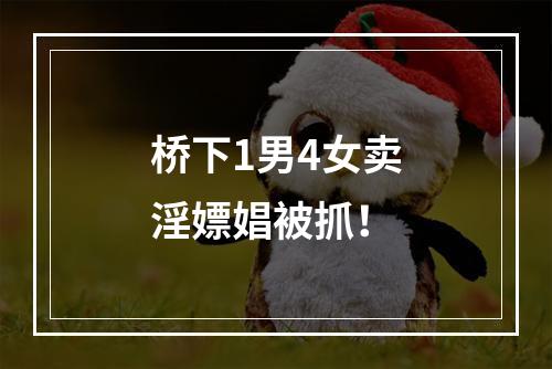 桥下1男4女卖淫嫖娼被抓！