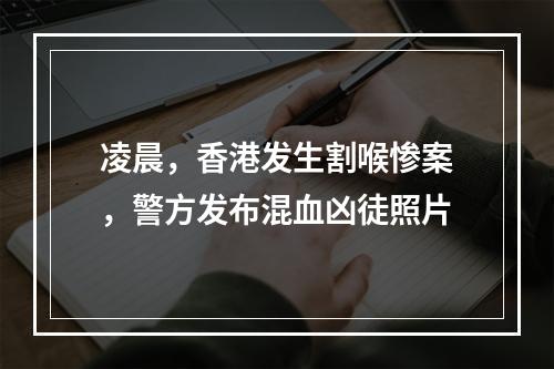 凌晨，香港发生割喉惨案，警方发布混血凶徒照片
