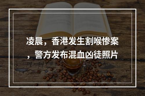 凌晨，香港发生割喉惨案，警方发布混血凶徒照片