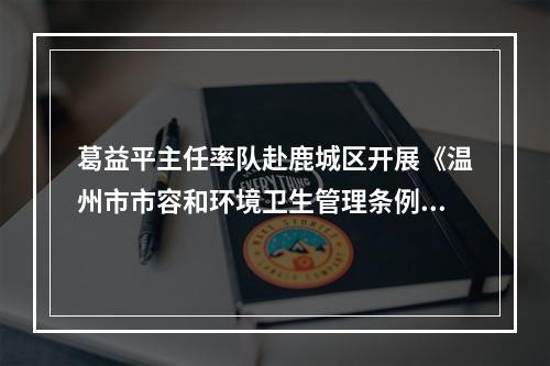 葛益平主任率队赴鹿城区开展《温州市市容和环境卫生管理条例》执法检查