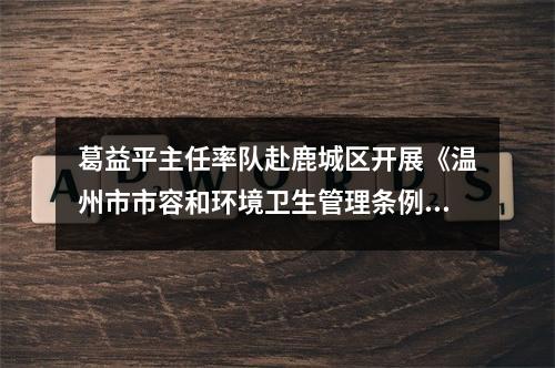 葛益平主任率队赴鹿城区开展《温州市市容和环境卫生管理条例》执法检查