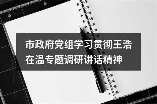 市政府党组学习贯彻王浩在温专题调研讲话精神