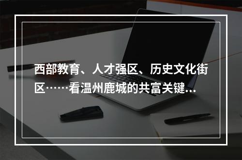 西部教育、人才强区、历史文化街区……看温州鹿城的共富关键词！