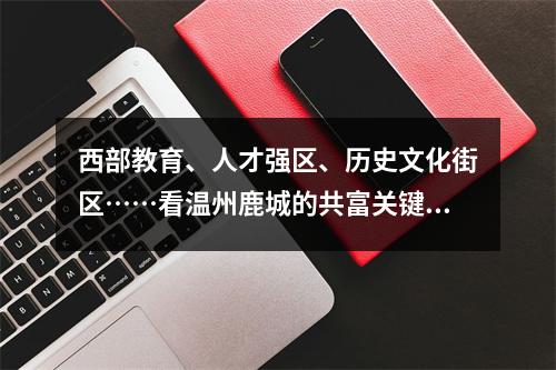 西部教育、人才强区、历史文化街区……看温州鹿城的共富关键词！