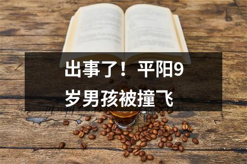 出事了！平阳9岁男孩被撞飞