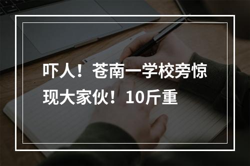 吓人！苍南一学校旁惊现大家伙！10斤重