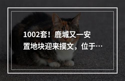 1002套！鹿城又一安置地块迎来摸文，位于…