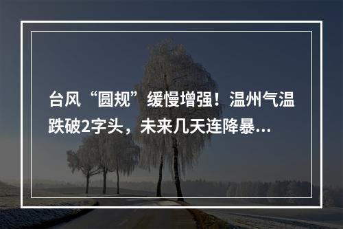 台风“圆规”缓慢增强！温州气温跌破2字头，未来几天连降暴雨、大暴雨
