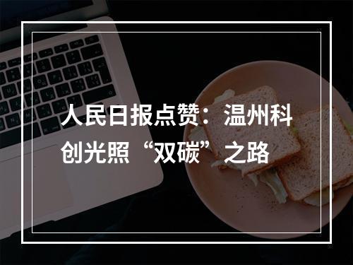 人民日报点赞：温州科创光照“双碳”之路