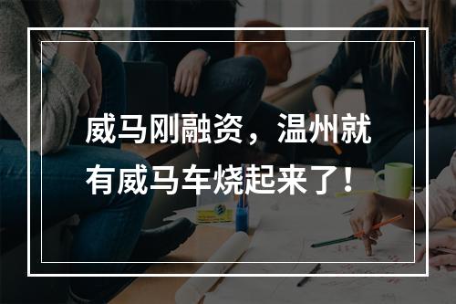 威马刚融资，温州就有威马车烧起来了！