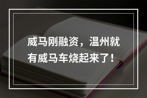 威马刚融资，温州就有威马车烧起来了！