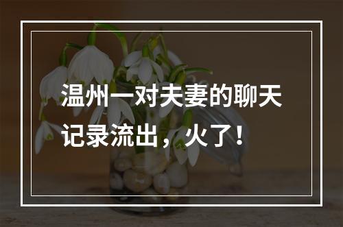 温州一对夫妻的聊天记录流出，火了！