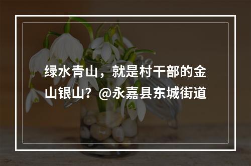 绿水青山，就是村干部的金山银山？@永嘉县东城街道