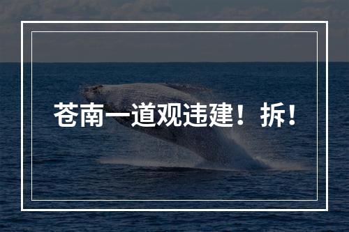 苍南一道观违建！拆！