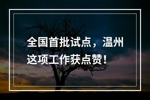 全国首批试点，温州这项工作获点赞！