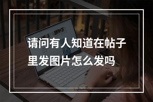 请问有人知道在帖子里发图片怎么发吗